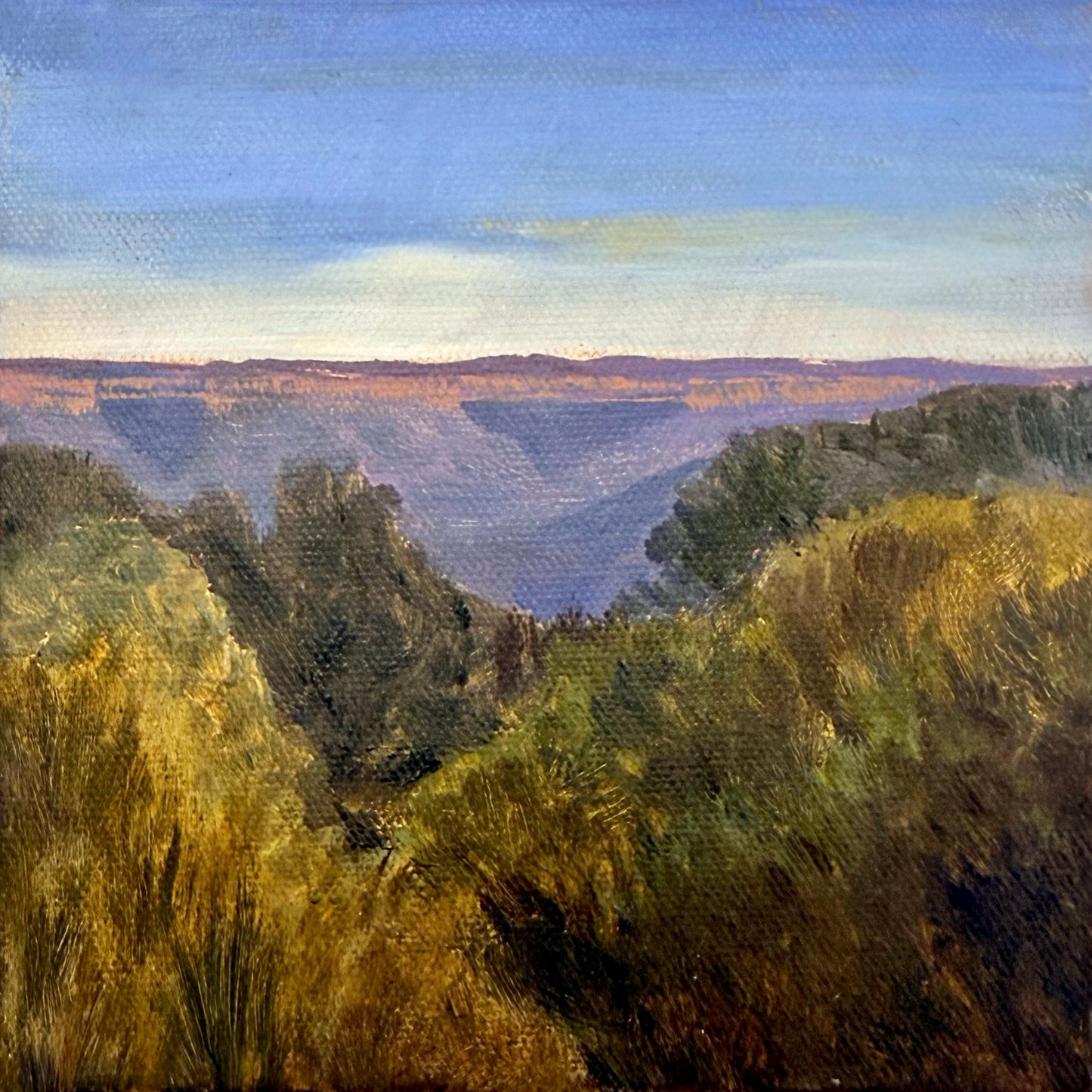 Blue Mountains Morning - Bridie Amelia Schmidt