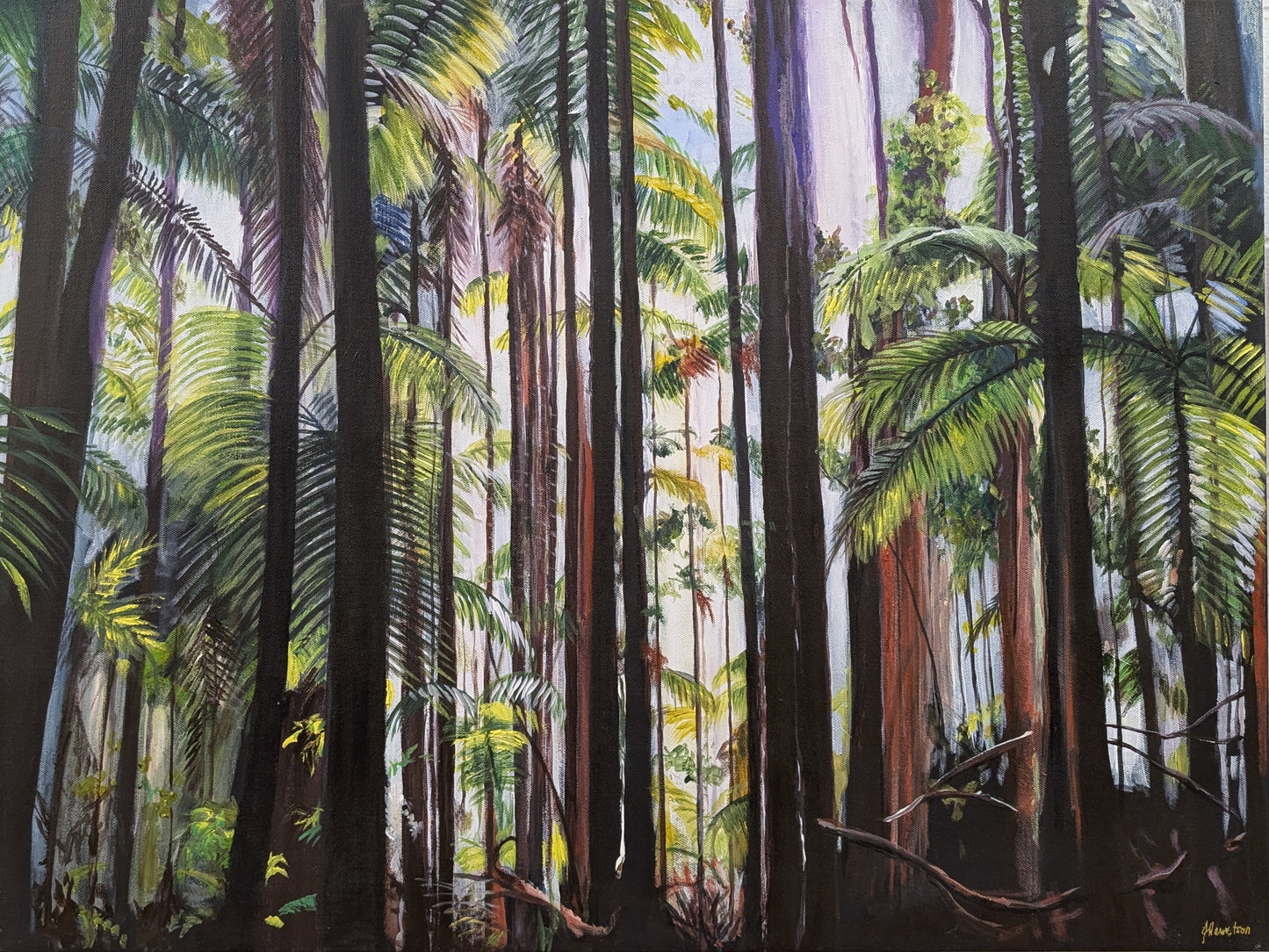 Minyon Forest - Jane Hewetson