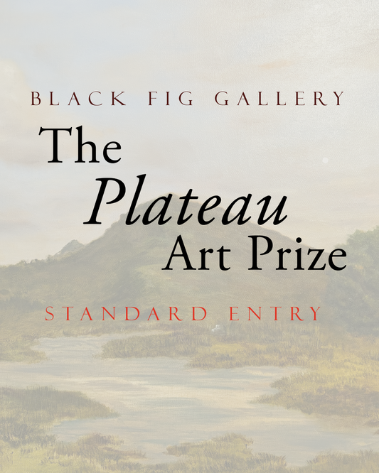 Plateau Prize 2026 Entry