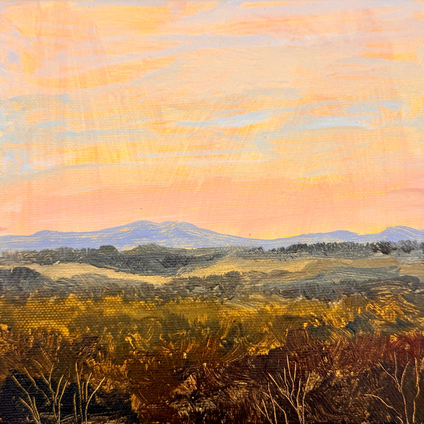 Hinterland Dusk - Bridie Amelia Schmidt