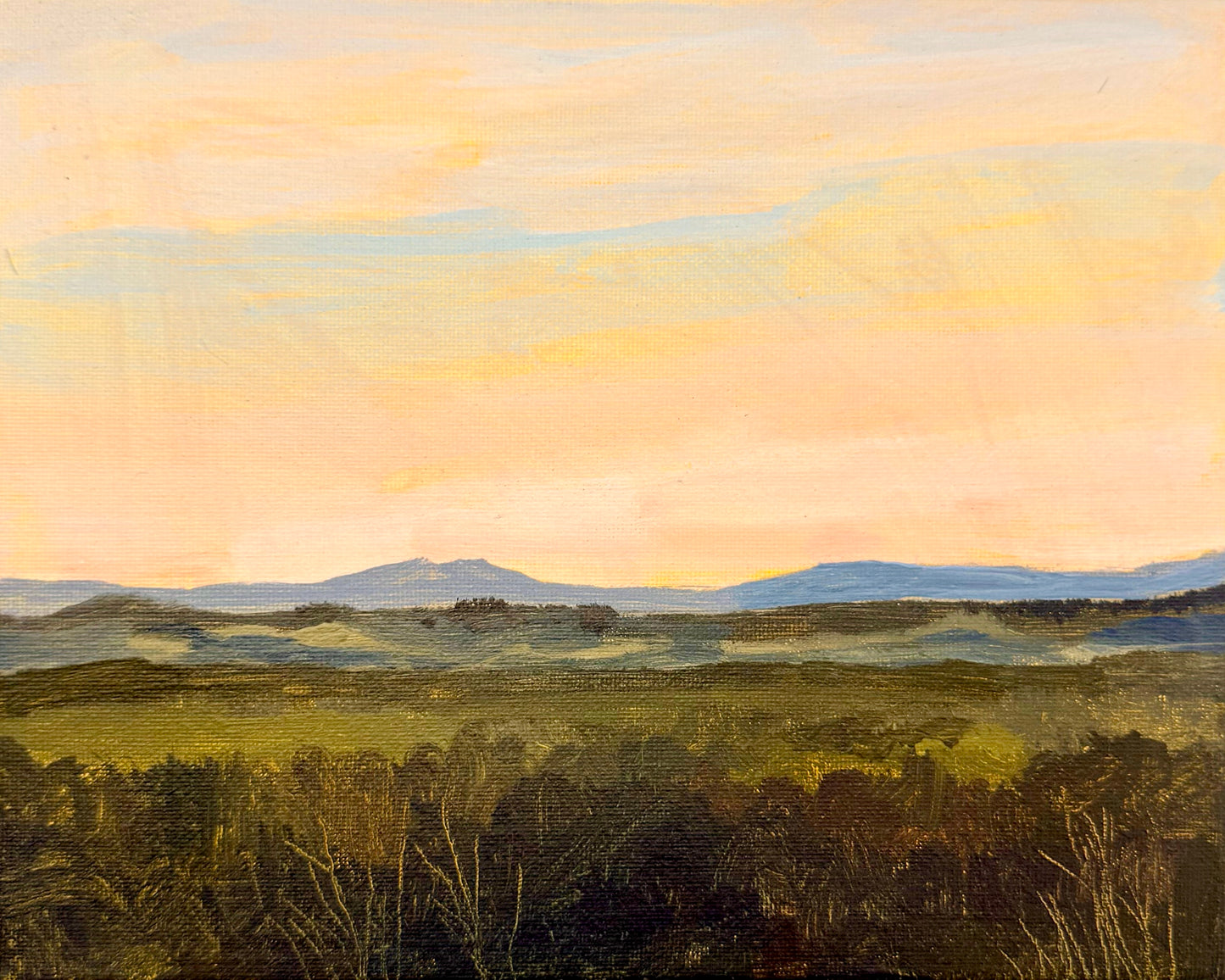 Hinterland Horizon - Bridie Amelia Schmidt