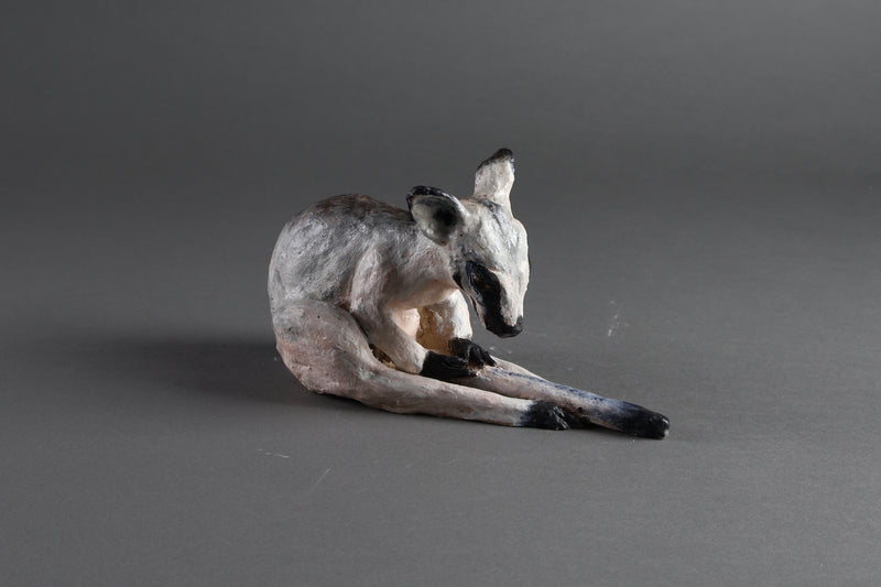 Toolache Wallaby - Dallas Rae