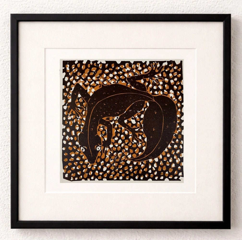 Leaf tailed Gecko - Dallas Rae