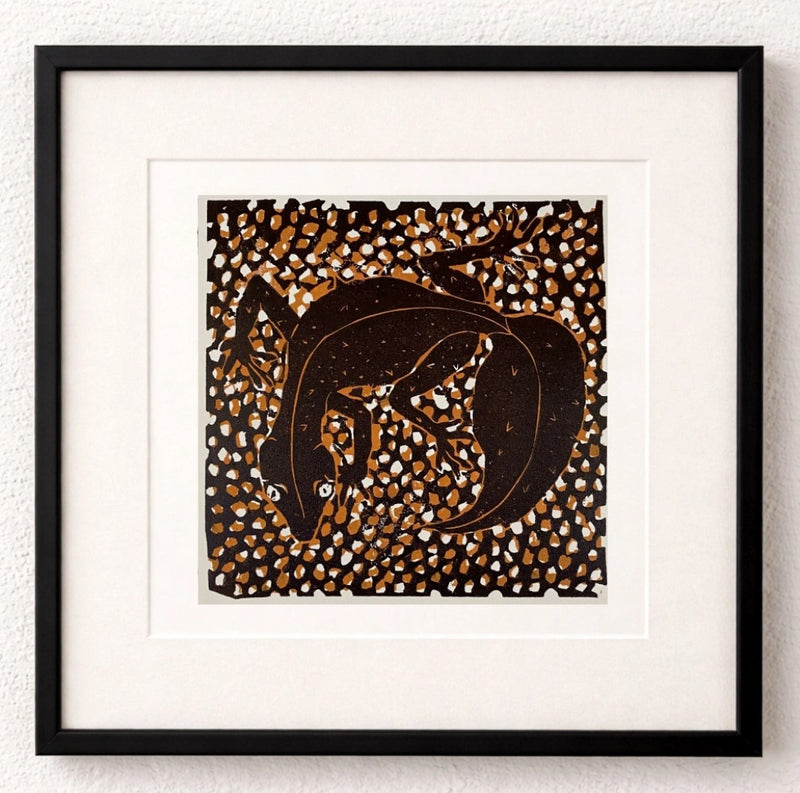 Leaf tailed Gecko - Dallas Rae