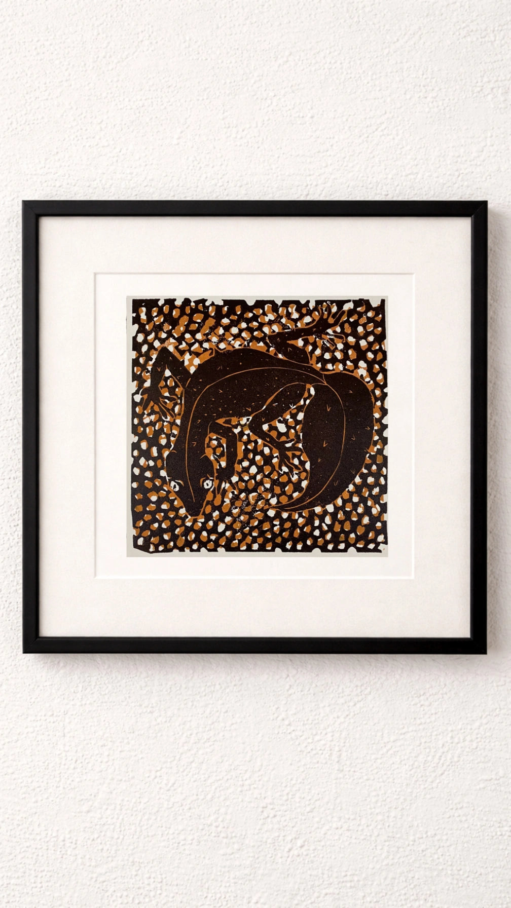 Leaf tailed Gecko - Dallas Rae