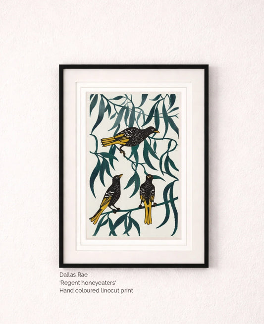 Regent honeyeater - Dallas Rae