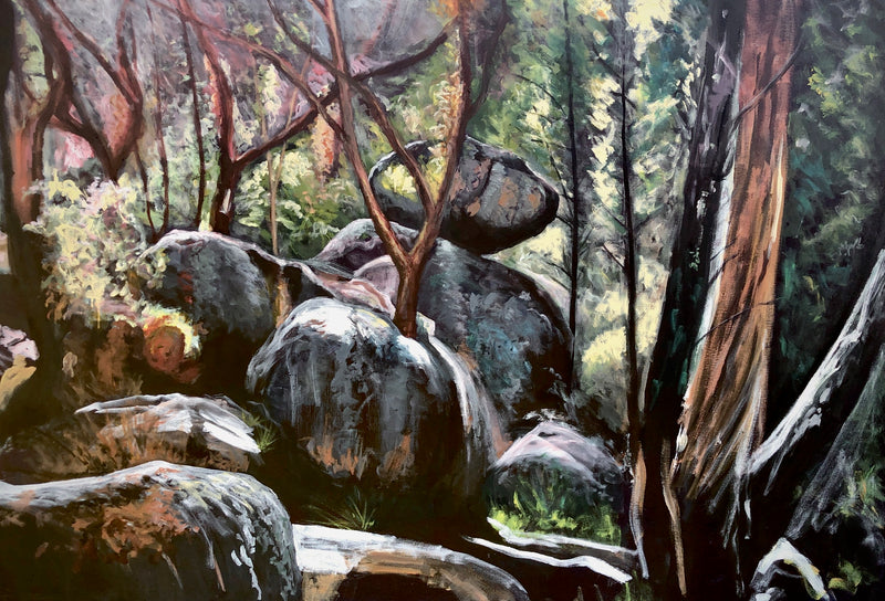 Morning Light  - Jane Hewetson