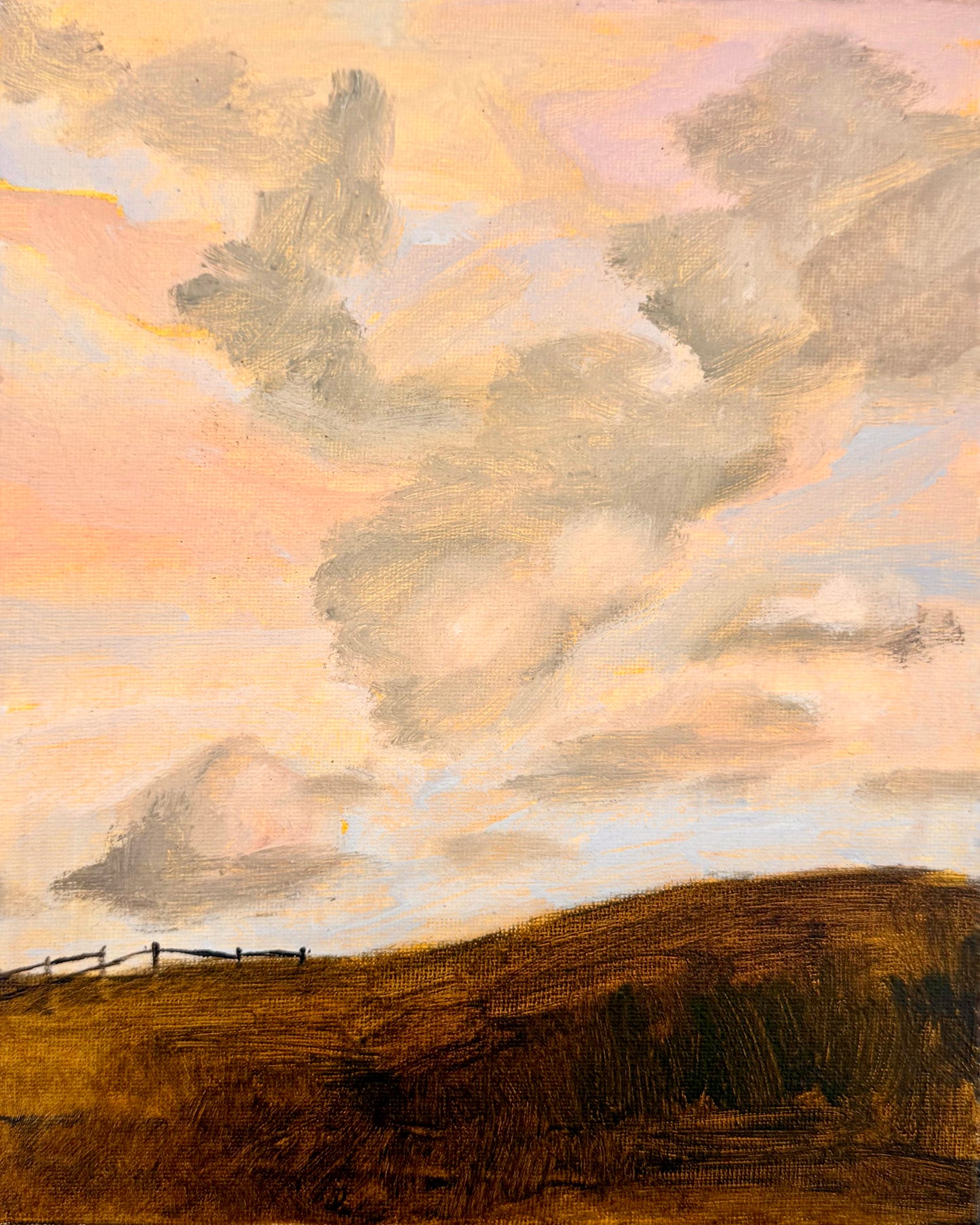 Just Over The Dune - Bridie Amelia Schmidt