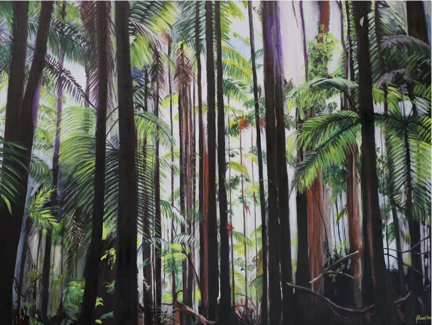 Minyon Forest  - Jane Hewetson