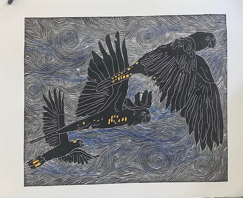 Cockatoos ‘in flight’ - Dallas Rae