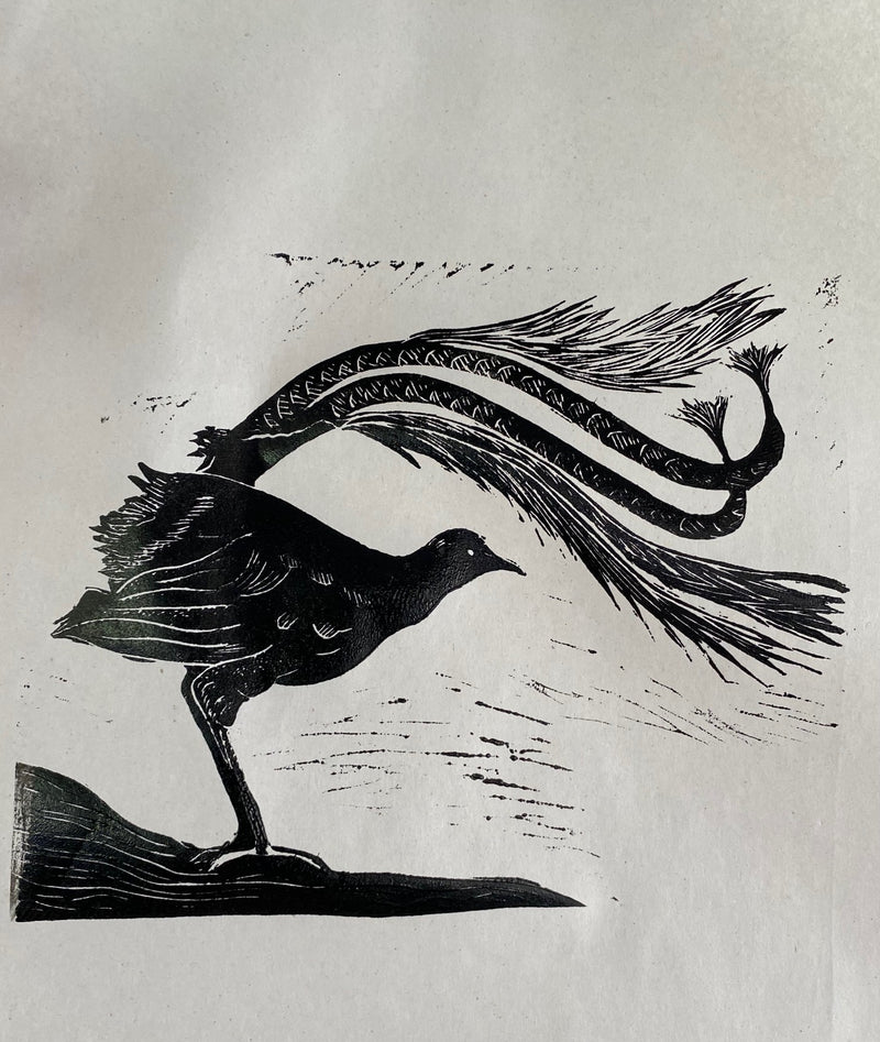 Lyrebird - Dallas Rae