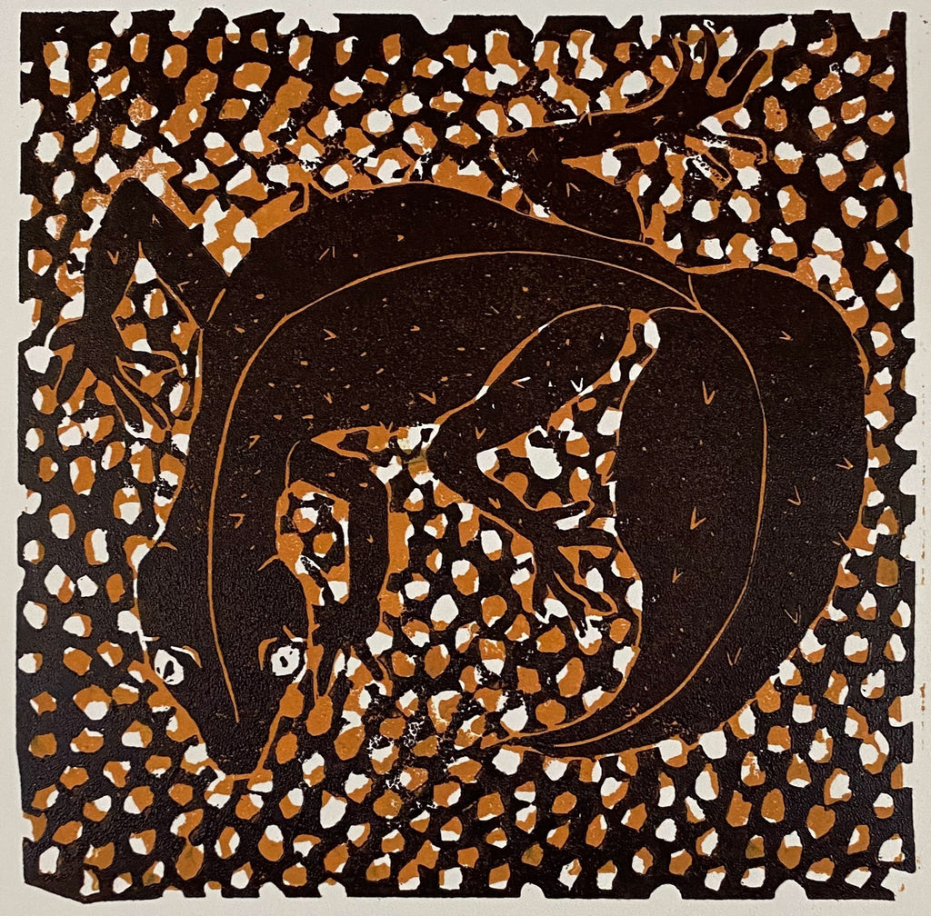 Leaf tailed Gecko - Dallas Rae