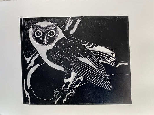 Masked Owl - Dallas Rae