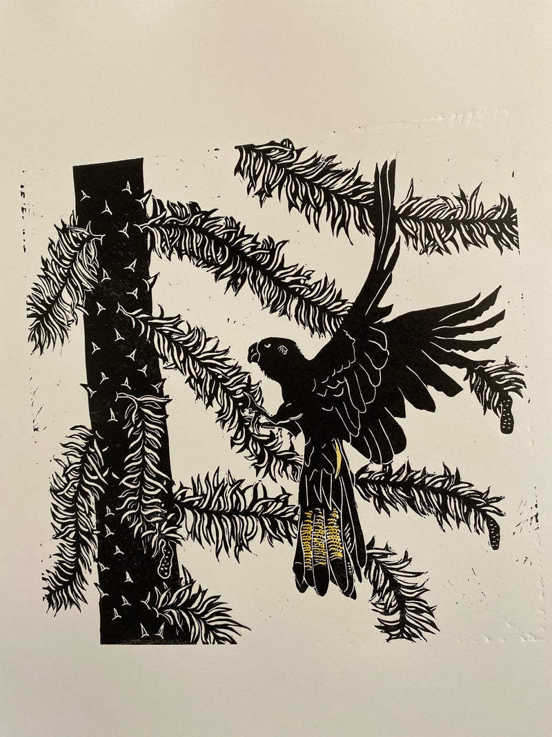 Wollemi wonder - Dallas Rae